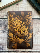 Load image into Gallery viewer, The Poetical Works of Campbell, Goldsmith and Gray Mauchline Fern Ware Book