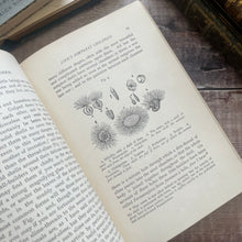 Load image into Gallery viewer, 1929 Life and Her Children by Arabella Buckley Illustrated Book