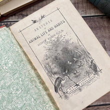 Load image into Gallery viewer, Sketches of Animal Life and Habits by Andrew Wilson; Victorian Illustrated Nature Book