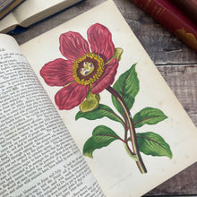 Load image into Gallery viewer, Flowers Plants Of Great Britain by Anne Pratt Volume One Half Morocco Binding
