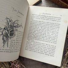 Load image into Gallery viewer, Flowers and Their Teachings Scarce Binding Late Victorian Illustrated