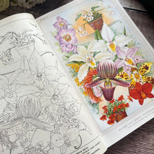 Load image into Gallery viewer, 1900 The Amateur Orchid Cultivator's Guide Book Third Edition Illustrated Colour Plates