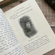 Load image into Gallery viewer, The Little Naturalist Series; In the Garden and At the Seaside Illustrated Books