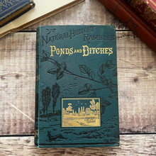 Load image into Gallery viewer, 1880 Ponds and Ditches; Natural History Rambles Illustrated Victorian Book