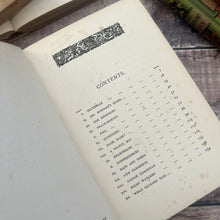 Load image into Gallery viewer, Bluebell by Emma Marshall Striking Pictorial Binding Antique Book