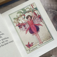 Load image into Gallery viewer, Three Pocket Editions of The Flower Fairies by Cicely Mary Barker; Circa 1950's
