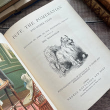 Load image into Gallery viewer, Puff the Pomeranian Beautiful Binding Victorian 19th Century Book