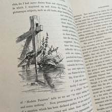 Load image into Gallery viewer, 1877 Drawings from Nature by Barnard Progressive Instructions in Sketching Victorian Book