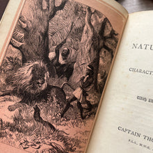 Load image into Gallery viewer, Popular Natural History and Characteristics of Animals by Captain Thomas Brown