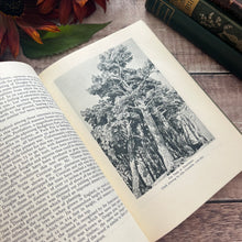 Load image into Gallery viewer, 1946 Nature in Britain With Dust Jacket Hardback Vintage Book Illustrated