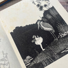 Load image into Gallery viewer, Very Rare First UK Edition of Fairyland by Ida Rentoul Outhwaite 1931