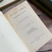 Load image into Gallery viewer, 1839 Our Wild Flowers Familiarly Described and Illustrated with Hand Coloured Plates