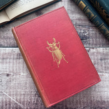 Load image into Gallery viewer, 1912 The Outdoor World or The Young Collector's Handbook by W Furneaux; Illustrated