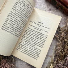 Load image into Gallery viewer, 1899 Timothy's Quest by Kate Douglas Wiggin Late Victorian Floral Binding