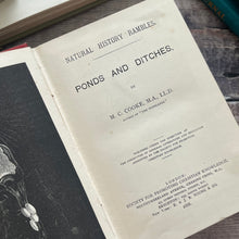 Load image into Gallery viewer, 1888 Ponds and Ditches; Natural History Rambles Illustrated Victorian Book