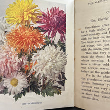 Load image into Gallery viewer, In The Garden; The Rambler Nature Books Beautiful Floral Binding