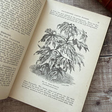 Load image into Gallery viewer, 1884 Hardy Perennials and Old Fashioned Garden Flowers by John Wood; Late Victorian Illustrated Book