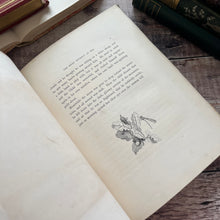 Load image into Gallery viewer, 1879 The Story Without an End by Sarah Austin Victorian Illustrated Book