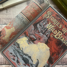 Load image into Gallery viewer, Stories of Wild Beasts by Ascott R Hope; Victorian Illustrated Book of Animals