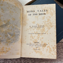 Load image into Gallery viewer, Tales of the Birds and More Tales of the Birds by W Warde Fowler Antique Two Volume Books Edwardian