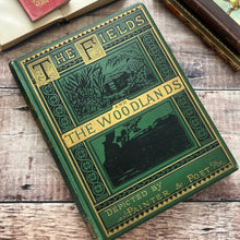 Load image into Gallery viewer, The Fields and The Woodlands Depicted by Painter and Poet; Victorian Book