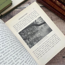 Load image into Gallery viewer, The Birds and Their Story by R.B.Lodge A Book for Young Folk Edwardian Illustrated