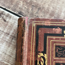 Load image into Gallery viewer, 1877 Drawings from Nature by Barnard Progressive Instructions in Sketching Victorian Book