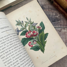 Load image into Gallery viewer, 1858 Le Langage des Fleurs 19th Century Illustrated Book