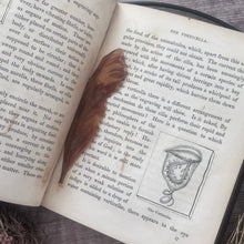 Load image into Gallery viewer, Wonders of the Waters; Circa 1846 Early Victorian Nature Book Illustrated
