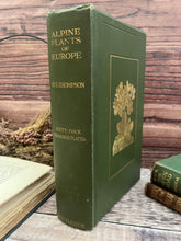 Load image into Gallery viewer, 1911 Alpine Plants of Europe by H.S.Thompson; Antique Floral Binding Book
