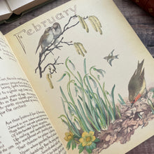 Load image into Gallery viewer, 1978 The Country Diary of an Edwardian Lady; Vintage Hardback with DJ