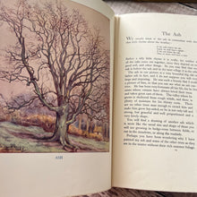 Load image into Gallery viewer, Our Friendly Trees by Barbara Briggs; Vintage Illustrated Book with Dust Jacket