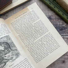 Load image into Gallery viewer, Four Hundred Animal Stories; Late Victorian Illustrated Book
