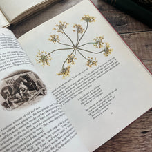 Load image into Gallery viewer, The Illustrated Lark Rise to Candleford by Flora Thompson Vintage 1984 Hardback Book