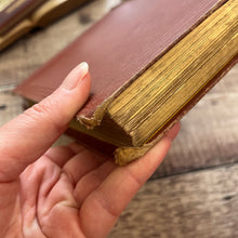 Load image into Gallery viewer, 1877 Drawings from Nature by Barnard Progressive Instructions in Sketching Victorian Book