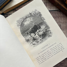Load image into Gallery viewer, 1909 Winners in Life's Race by Arabella Buckley Illustrated Antique Book