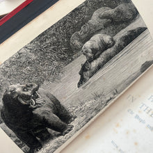 Load image into Gallery viewer, 1881 Half Hours in the Far South; The People and Scenery of the Tropics