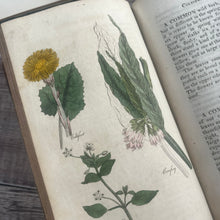 Load image into Gallery viewer, Early 1800's The Family Herbal by Sir John Hill; With Hand Coloured Plates