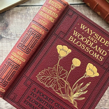 Load image into Gallery viewer, 1905 Wayside and Woodland Blossoms; Edwardian Illustrated Book (et)
