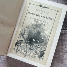 Load image into Gallery viewer, 1877 Sketches of Animal Life and Habits by Andrew Wilson; Illustrated Nature Book