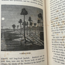 Load image into Gallery viewer, 1881 Half Hours in the Far South; The People and Scenery of the Tropics