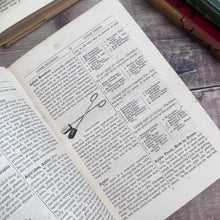 Load image into Gallery viewer, 1895 Beeton's All About Gardening A Dictionary of Garden Work 500 Illustrations