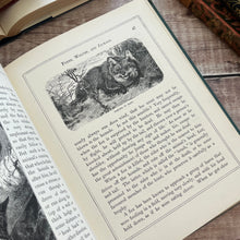Load image into Gallery viewer, Victorian Book of Field Friends and Forest Foes; Illustrated 19th Century Book