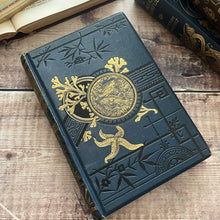 Load image into Gallery viewer, The Fresh and Saltwater Aquarium by Rev J G Wood Victorian Book with Plates