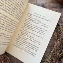 Load image into Gallery viewer, The Palace of Luxury and Other Stories Antique Late Victorian Children's Book