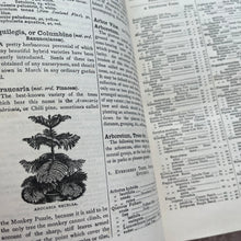 Load image into Gallery viewer, 1897 Beeton's New Dictionary of Every-day Gardening; Victorian Illustrated Book