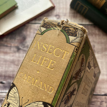 Load image into Gallery viewer, Rare 1921 Insect Life by C.A.Ealand First Edition Antique Illustrated Book