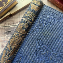 Load image into Gallery viewer, 1860 British Butterflies by WS Coleman Illustrated with Plates