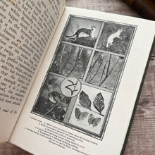 Load image into Gallery viewer, 1912 Nature's Workshop by William J Claxton; Illustrated Antique Book