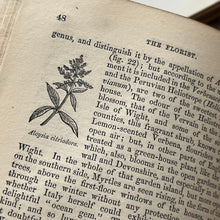 Load image into Gallery viewer, 1859 The Young Lady's Book; A Manual of Elegant Recreations, Arts, Sciences and Accomplishments